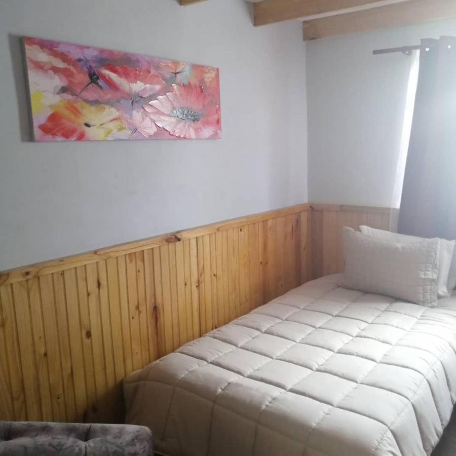 Hostal Y Cabanas Vientos Del Sur Puerto Ingeniero Ibanez Exteriér fotografie
